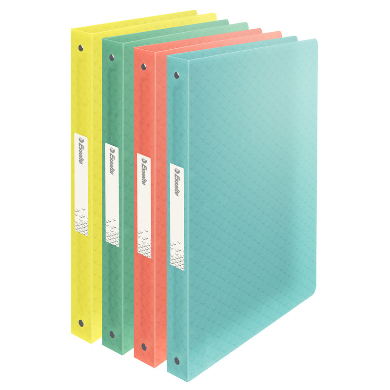 Carpeta Esselte 2 anillas de 25 mm A4 Plástico Azul